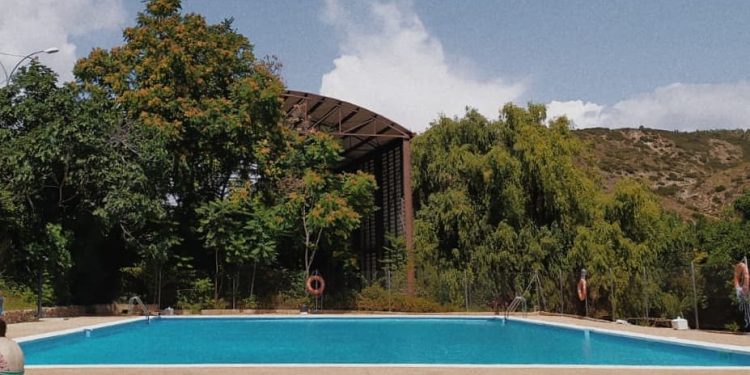 OFERTAS DE EMPLEO CHIRINGUITO CASTIELFABIB