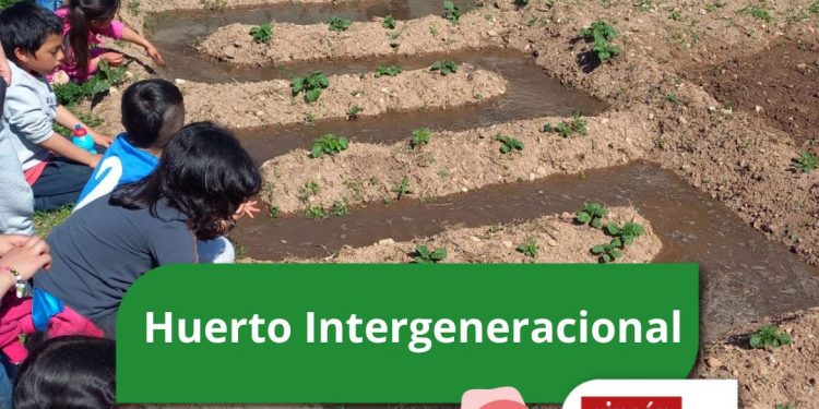 Huerto Intergeneracional