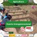 Huerto Intergeneracional
