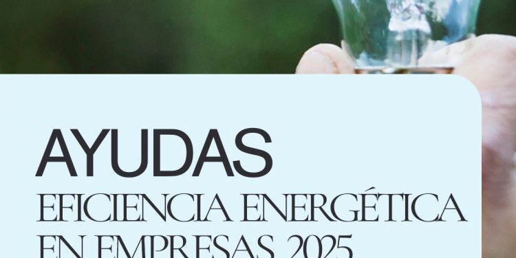 Ayudas en materia de eficiencia energética en empresas 2025 (IVACE)