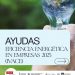 Ayudas en materia de eficiencia energética en empresas 2025 (IVACE)