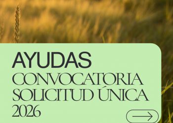 CONVOCATORIA SOLICITUD ÚNICA 2026