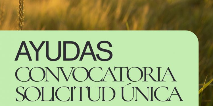 CONVOCATORIA SOLICITUD ÚNICA 2026