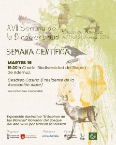 post charla martes