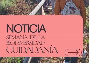 El Rincón de Ademuz celebra un fin de semana dedicado a la biodiversidad y la ciencia ciudadana