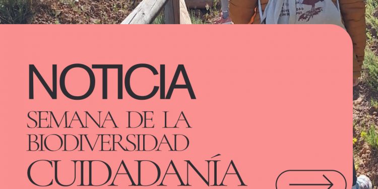 El Rincón de Ademuz celebra un fin de semana dedicado a la biodiversidad y la ciencia ciudadana