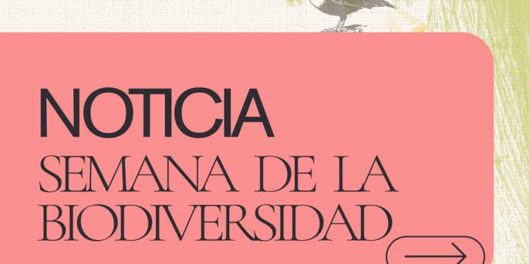 El Rincón de Ademuz acoge la XVII Semana de la Biodiversidad de la Comunitat Valenciana
