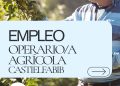 Oferta de empleo: OPERARIO/A AGRÍCOLA