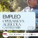 Oferta de empleo: OPERARIO/A AGRÍCOLA