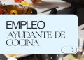 Ayudante de Cocina
