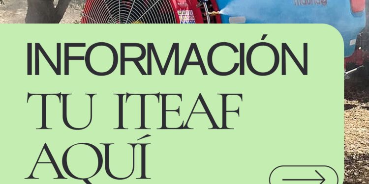 Tu ITEAF aquí